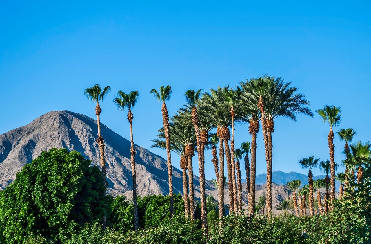 PALM SPRINGS