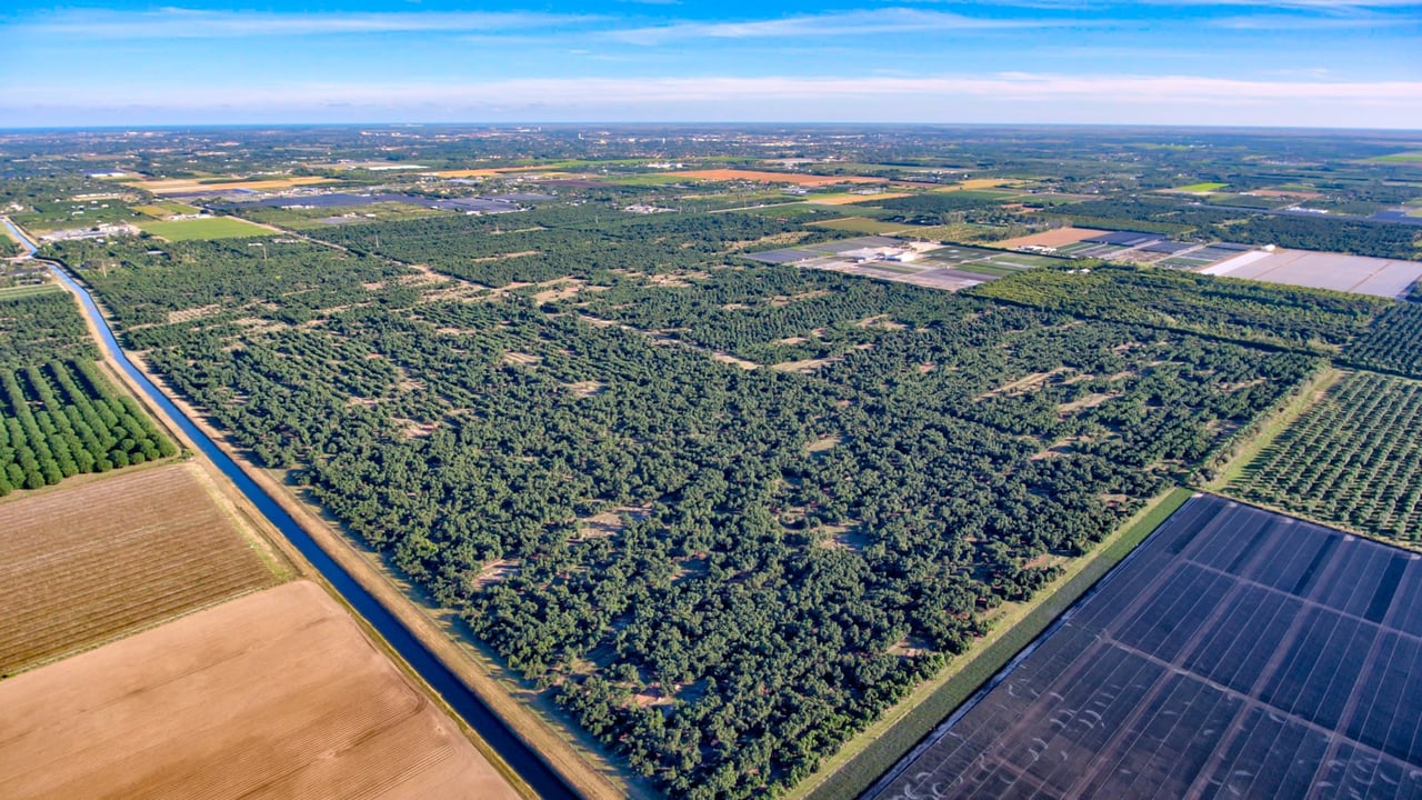 330 Acres of Avocado Groves