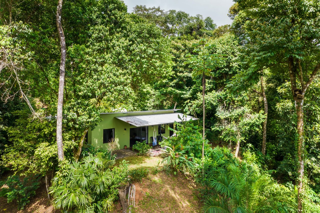 Tropical Villas on 11 Acres of Jungle. Great Location for a Retreat!