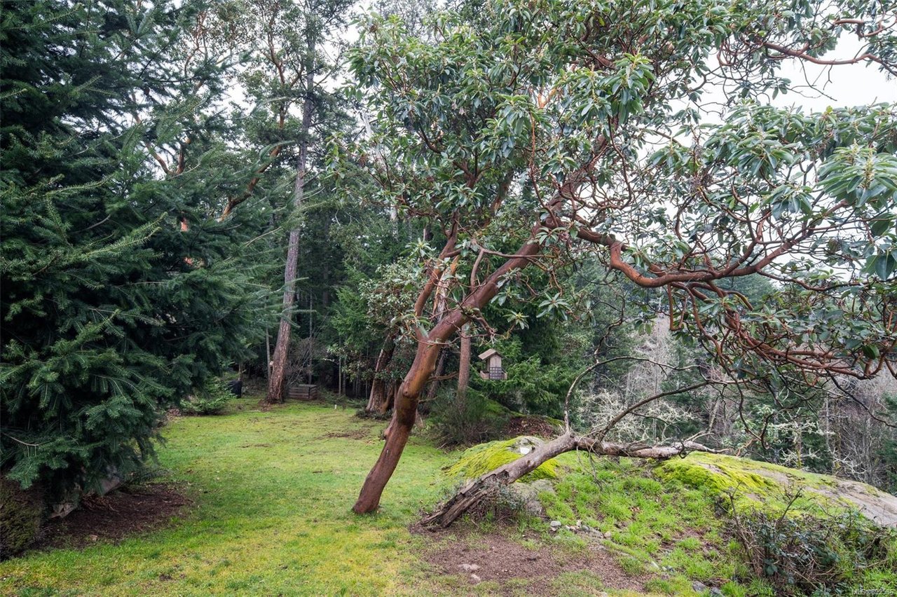 416 Pelican Dr