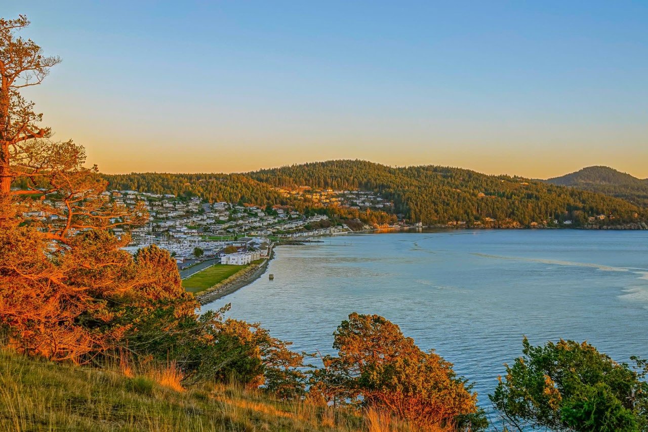 A view of a body of water from a hill. The water is blue and calm, and the sky is blue and clear. There is a city in the background.