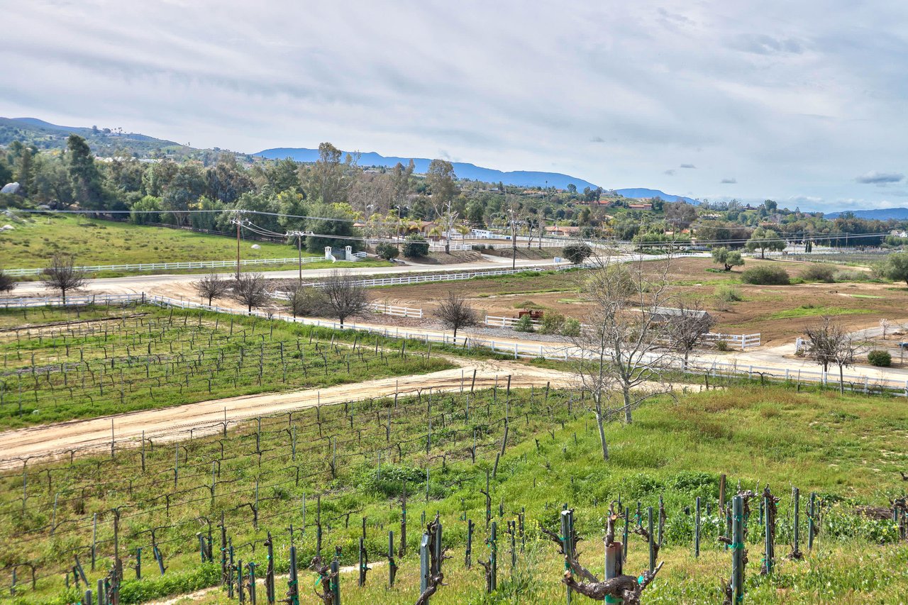 Class IV Winery 