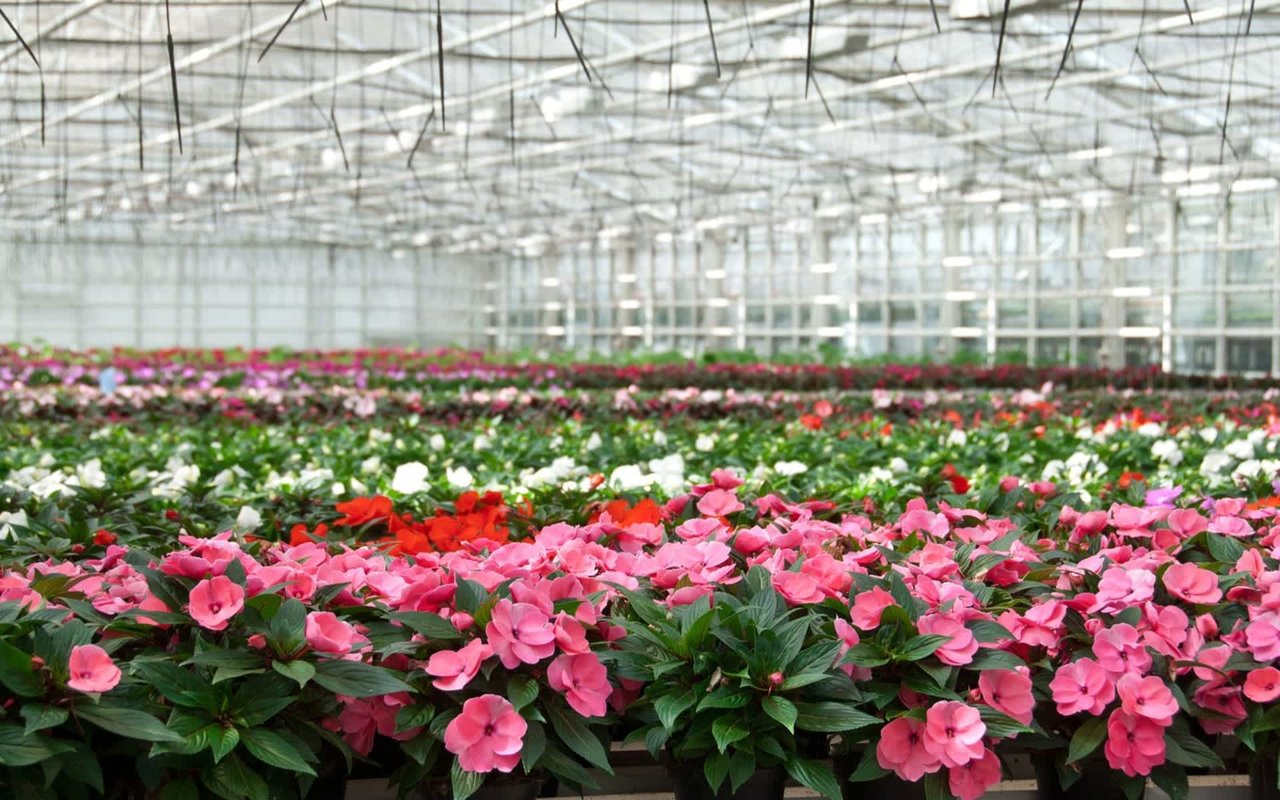 Best Flower & Plant Nurseries in Indiana