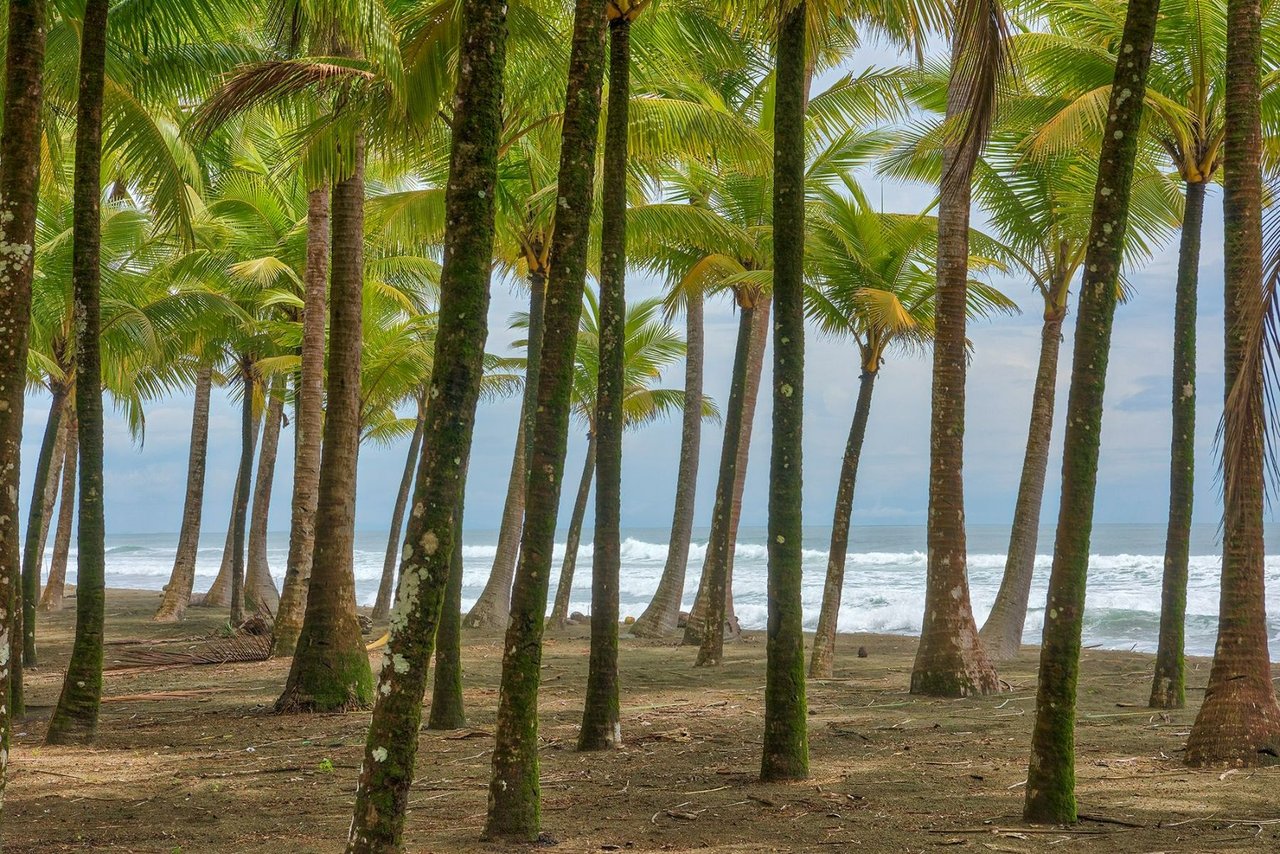 Beachfront Development Land, Dominical, Puntarenas