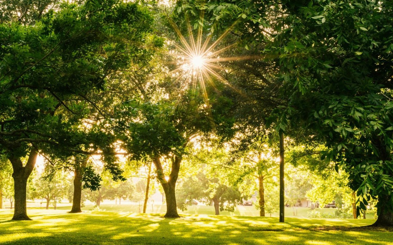 7 Neighborhood Amenities that Increase Home Value