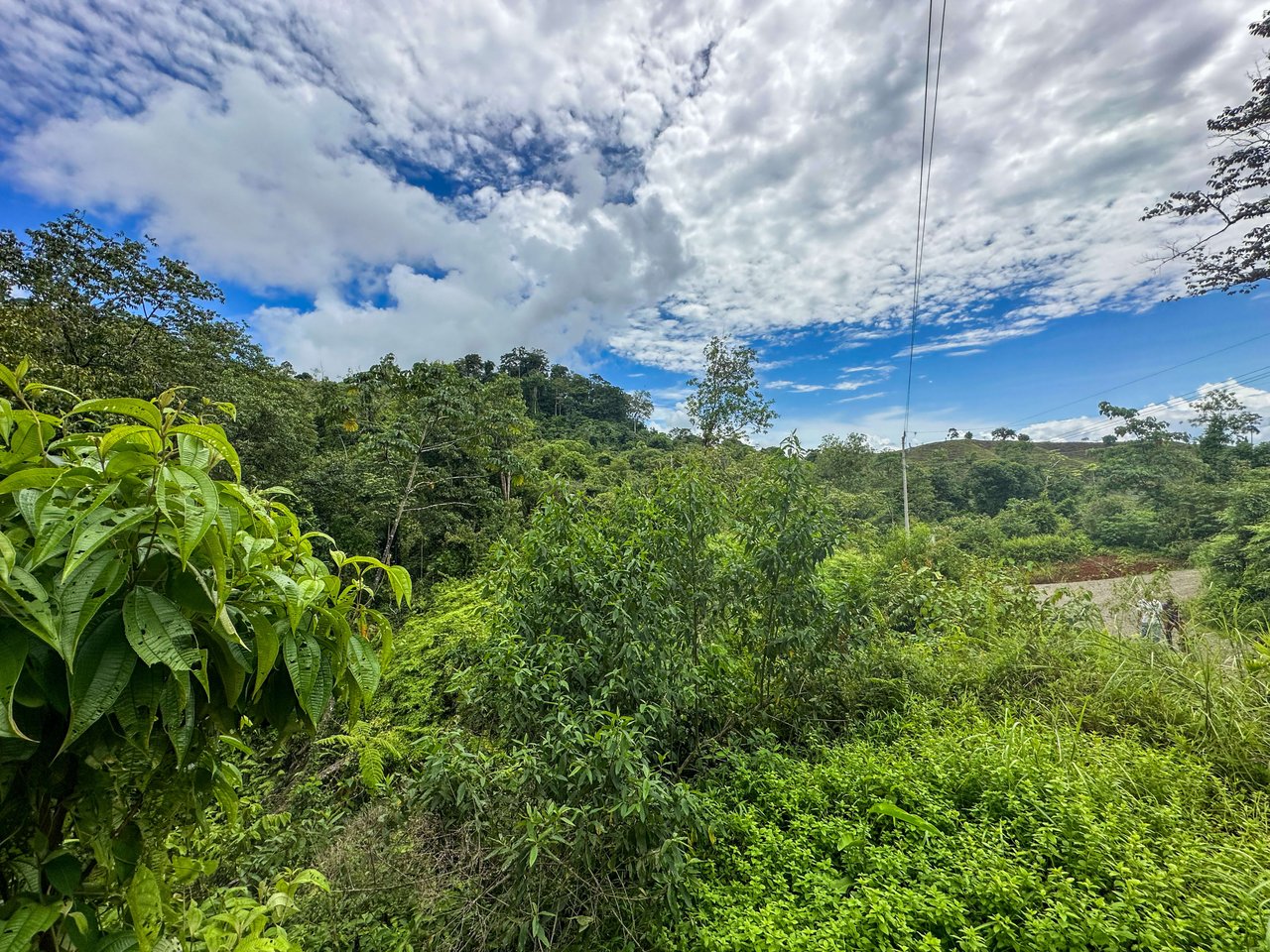 Costa Rican Gem with Conservation Potential: Preserve 26 Acres of Pristine Land