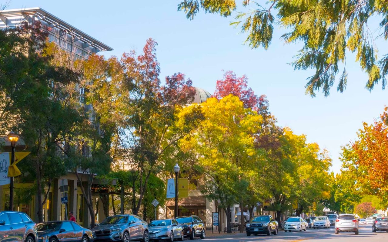 A row of cars parked along the side of a street with buildings beside them.