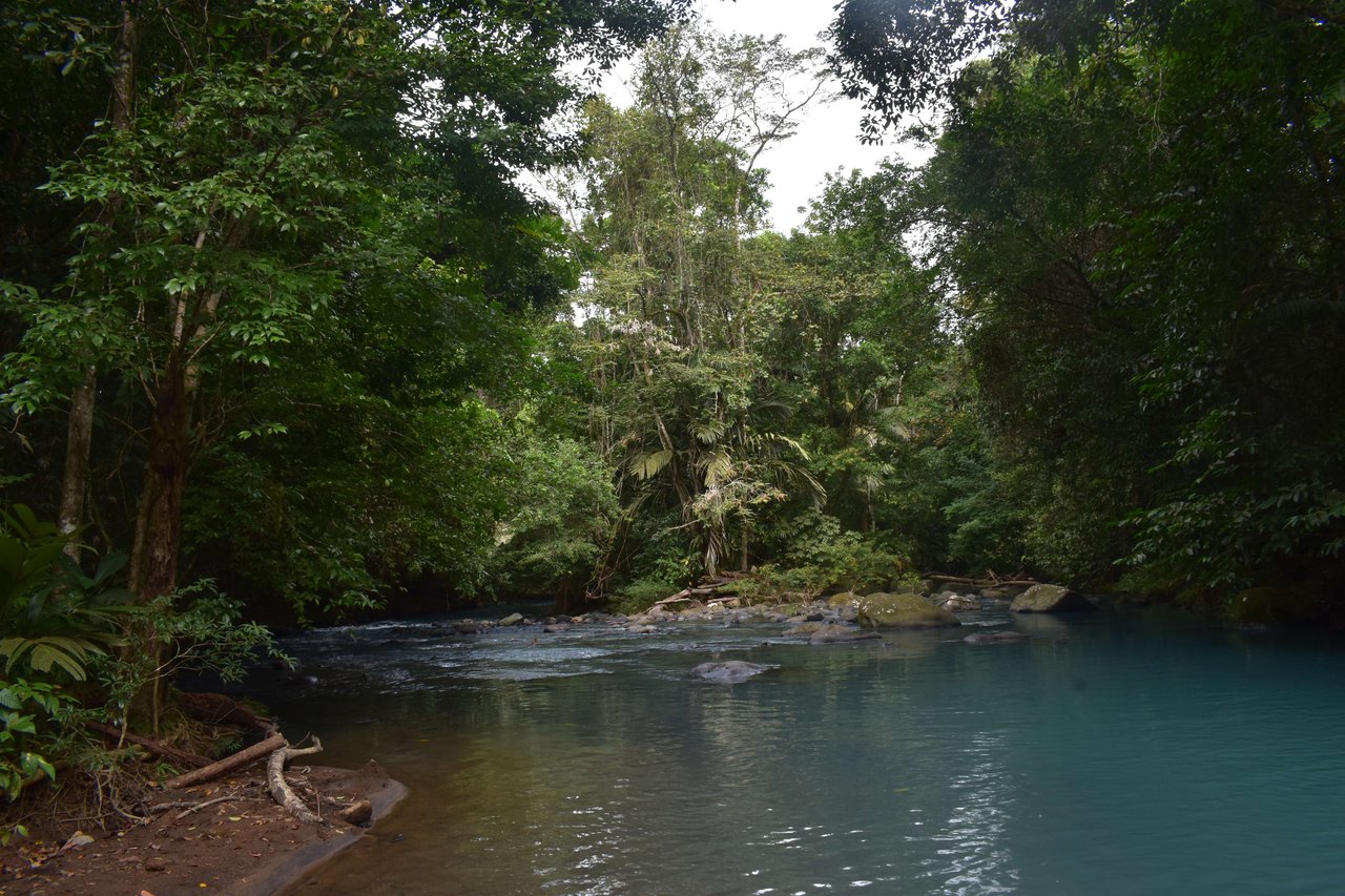 Villa Celeste Land | Embrace a unique 9-hectare Property along Rio Celeste