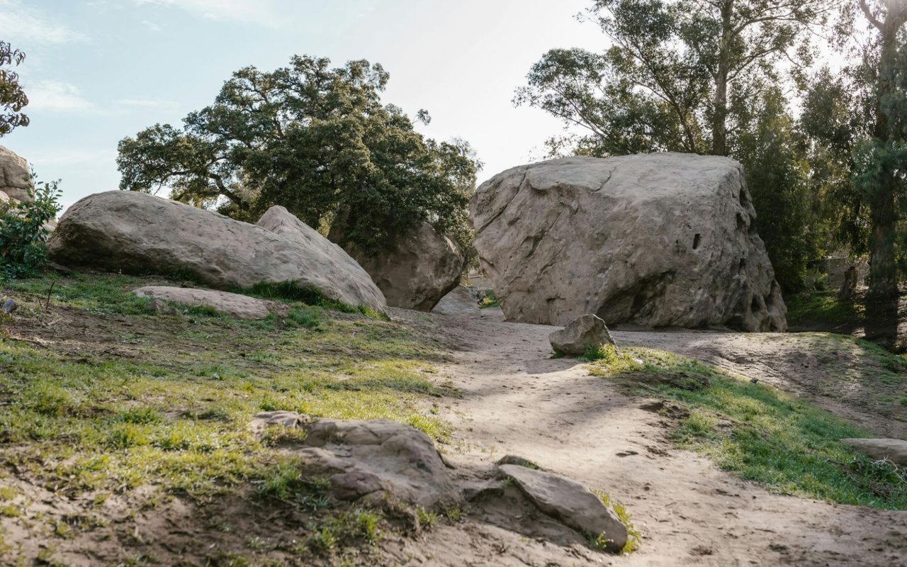 Top 5 Outdoor Activities in Hollywood Hills, The Ultimate Guide for Enthusiasts