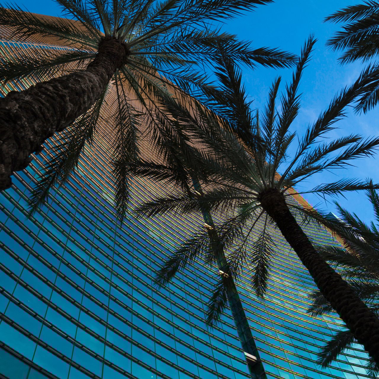 Miami continues to solidify itself as important financial hub
