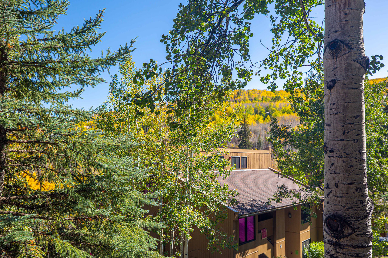 Seasons Four Condo in Snowmass Village.