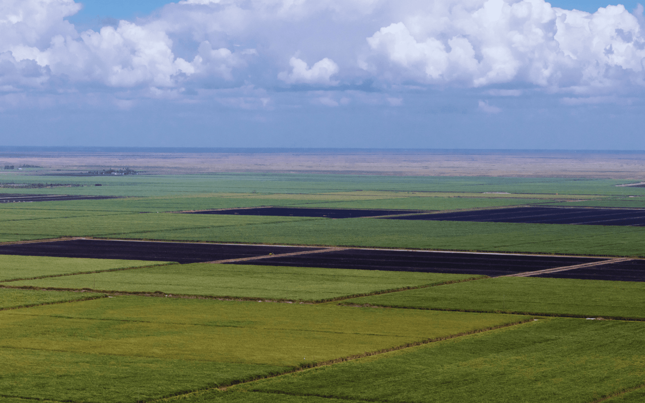 Farmland