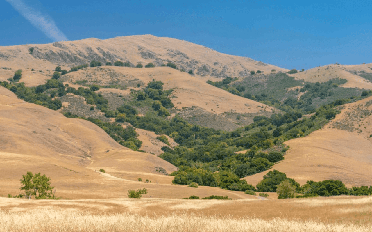 The image shows a valley surrounded by hills. There are a few trees scattered about.