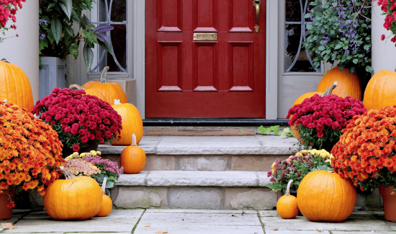  How to Maximize Curb Appeal in Fall