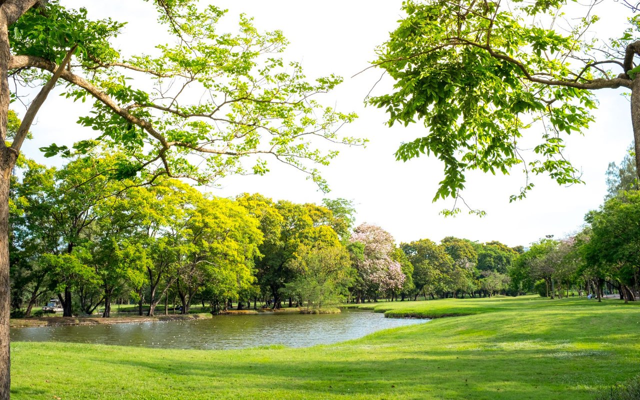 A-list Trees to Plant Along the Front Range