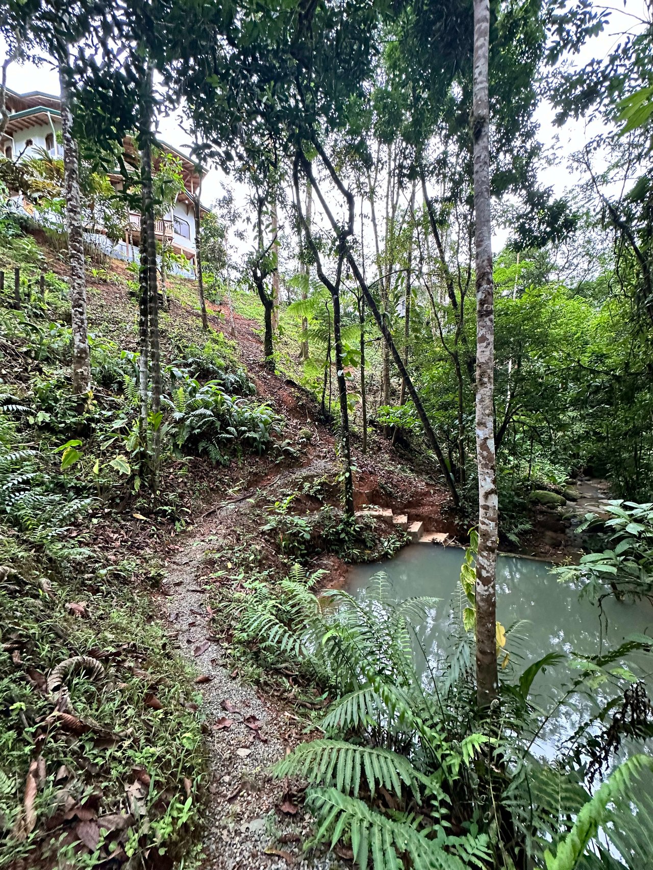 Discover the Charm of an Exotic Home in Las Tumbas, Costa Rica