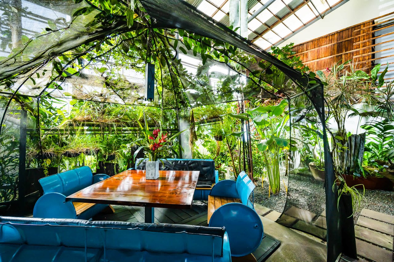 Celeste Mountain Lodge | Mountain Hotel/Resort/Hostel For Sale!
