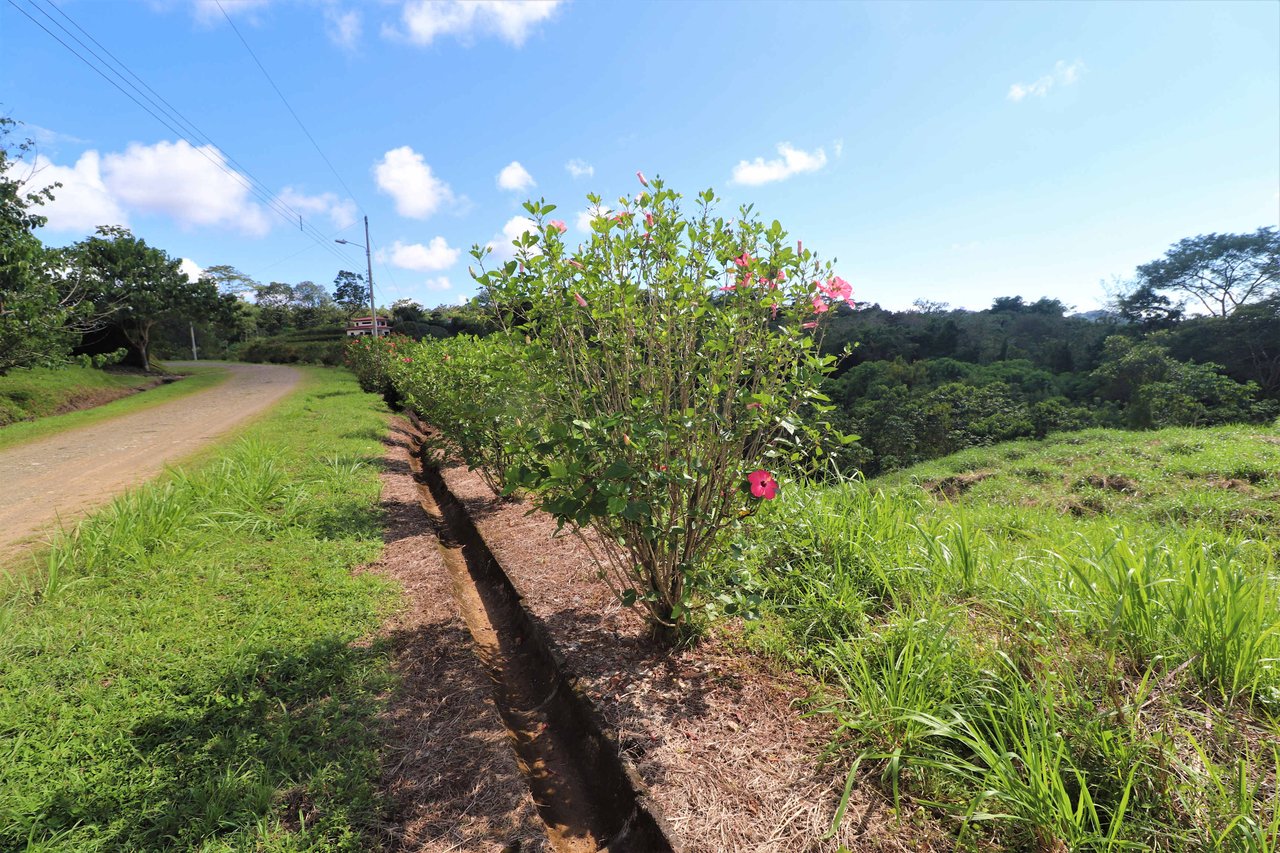 Large Mountain View Lot. 