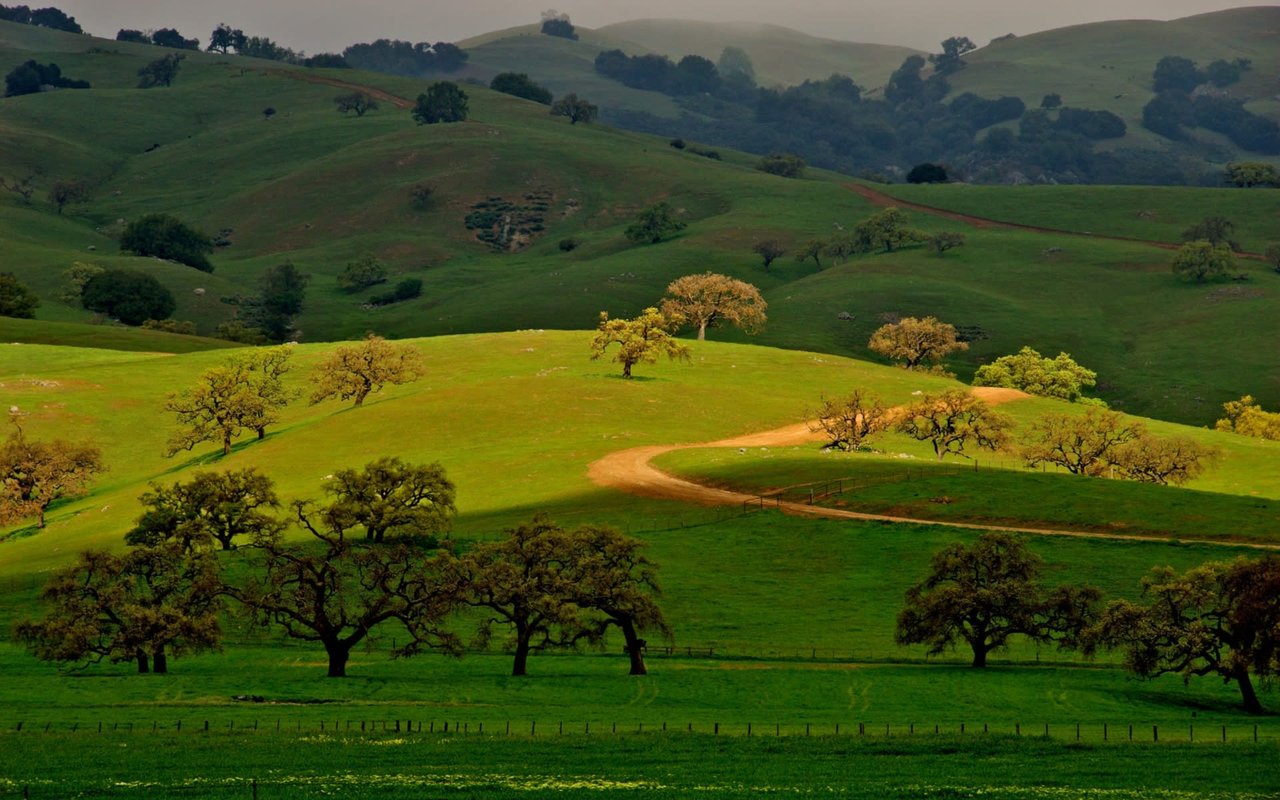 Morgan Hill