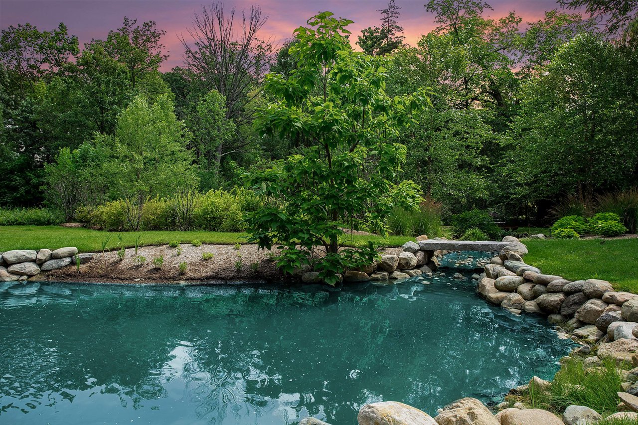 Pond Renovation