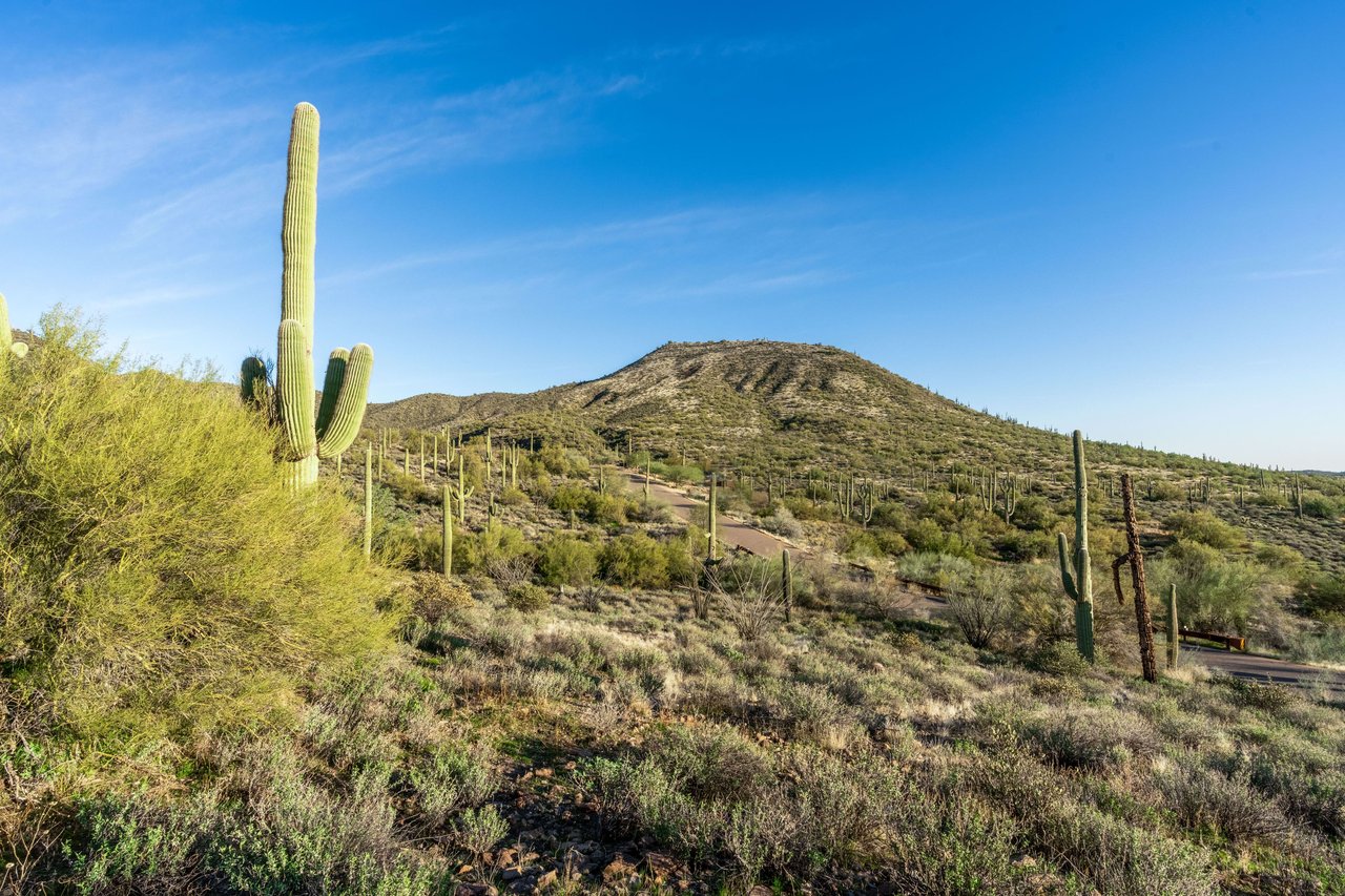 Pioneer at Continental Mountain Estates in Cave Creek