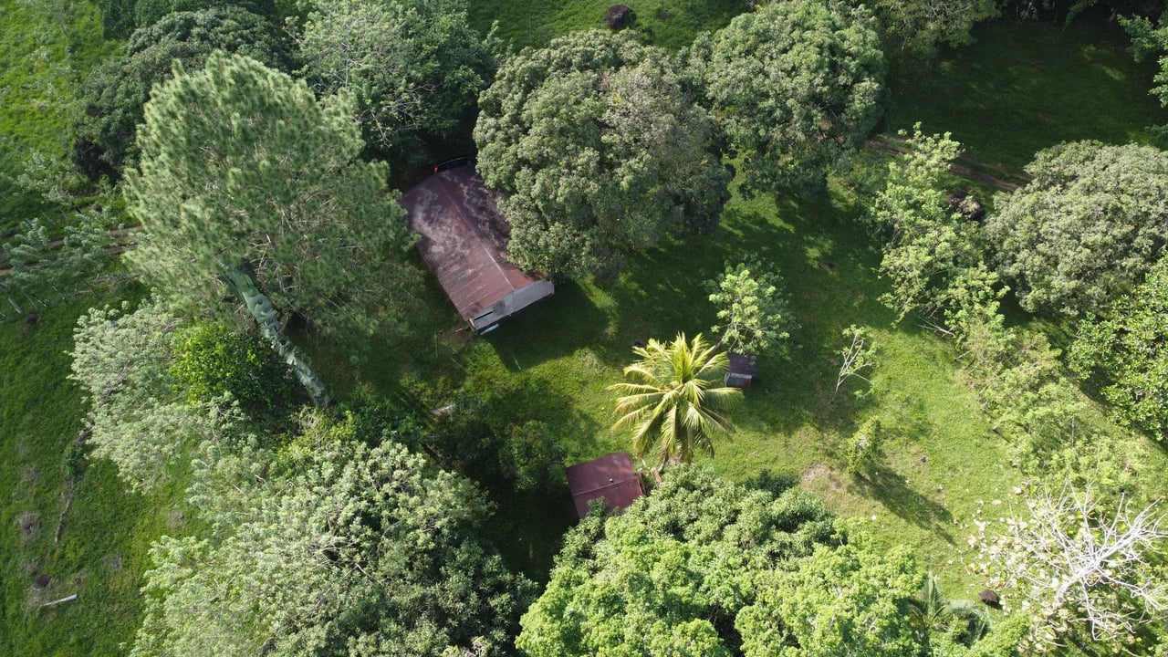 Rancho San Miguel | Enchanting Paradise; Your Ultimate Investment Opportunity in Buenavista de Guatuso, Katira!