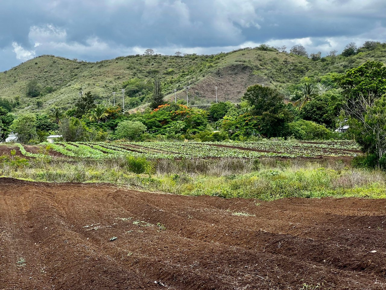 256  Acres  Precioso Coamo