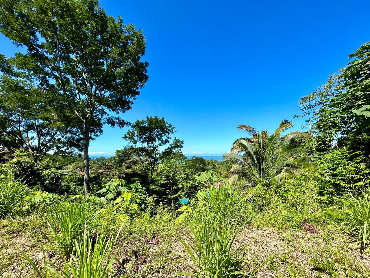 Ocean View Property in Playa Hermosa, Over 1.75 Acres