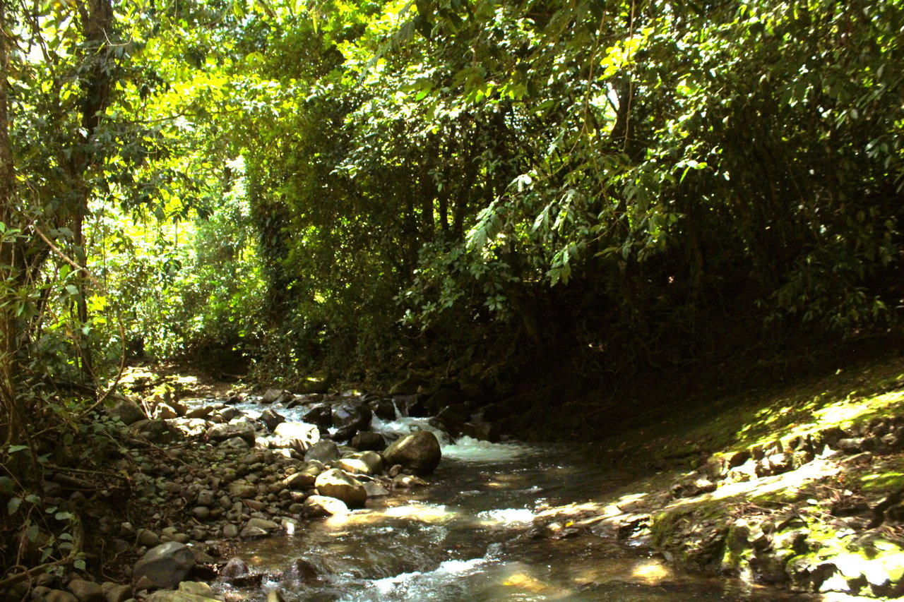 Wildlife Reserve Farm close to Ojochal