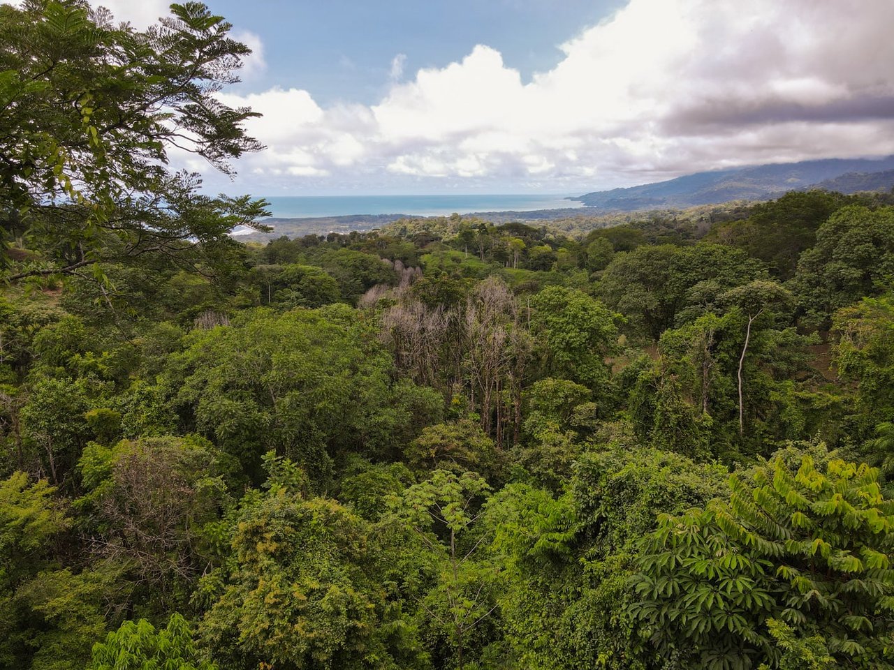 Casa Selva Sustainable Living 