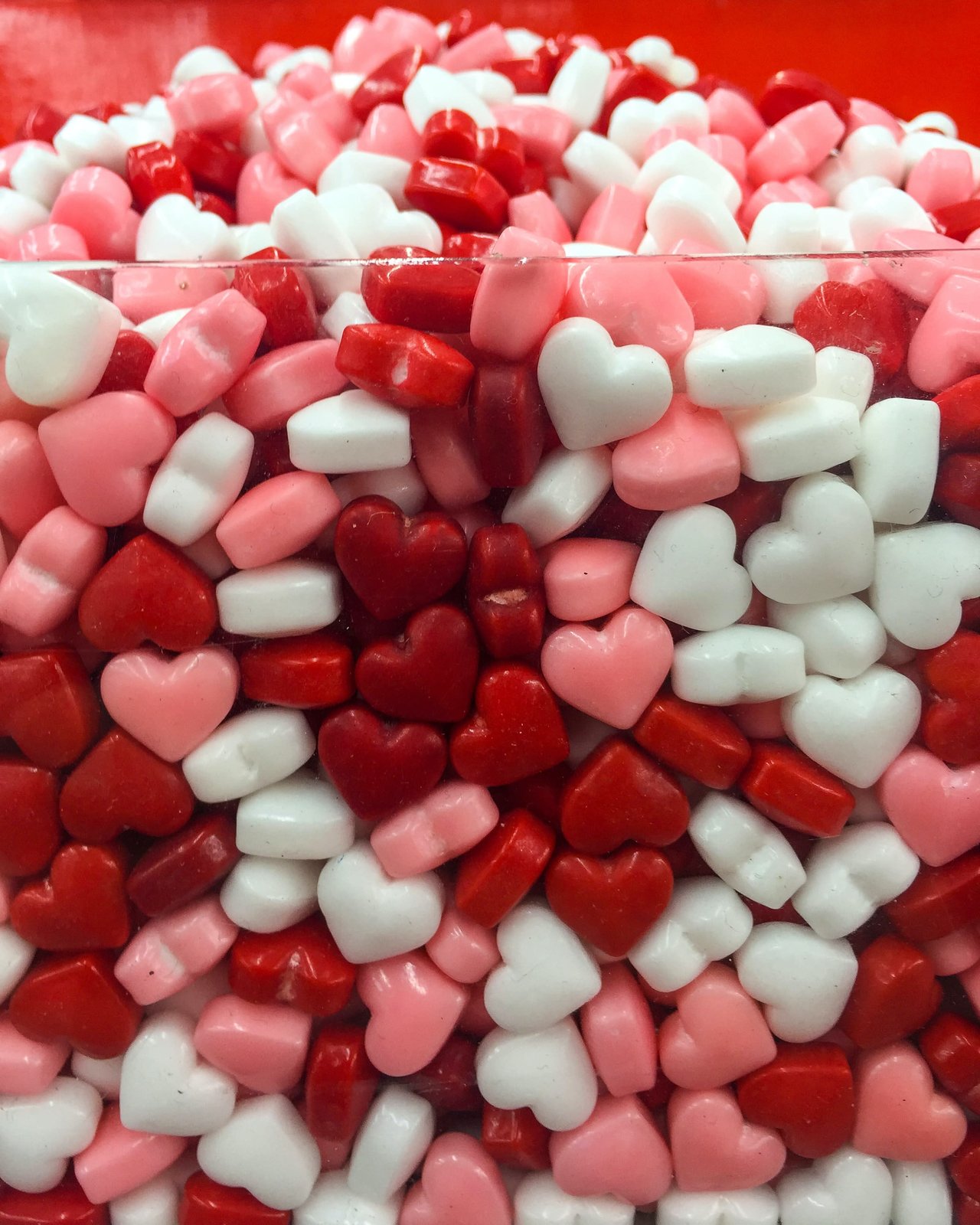 February 2023 Newsletter