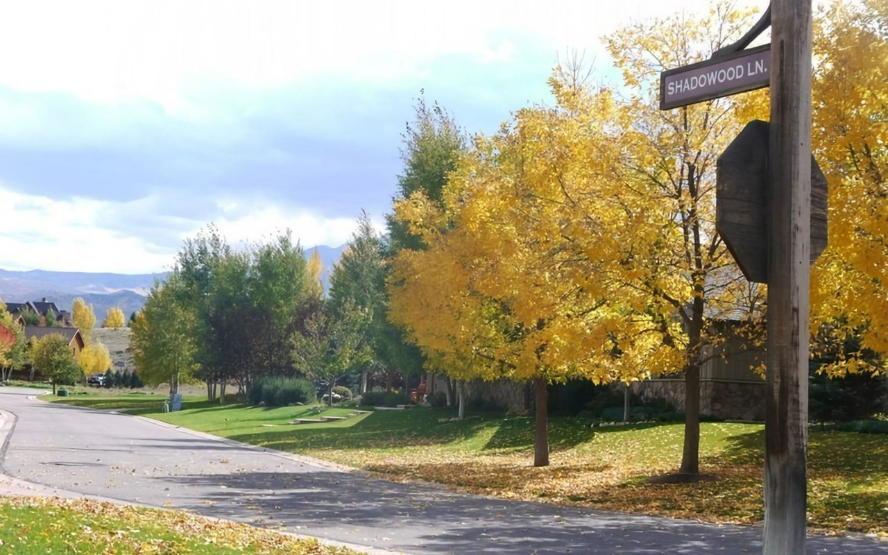 Sold Property in Carbondale