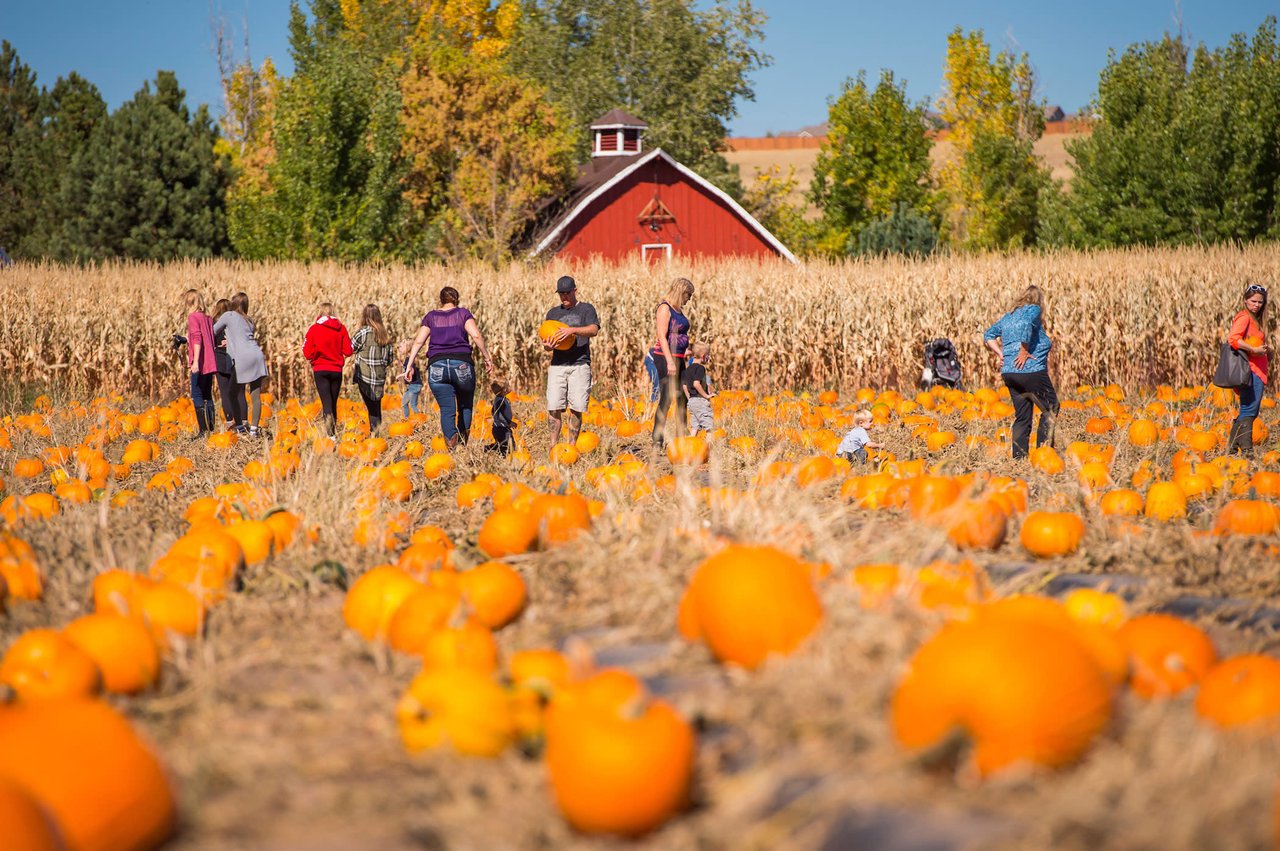 5 Fall Family Events throughout the Denver area