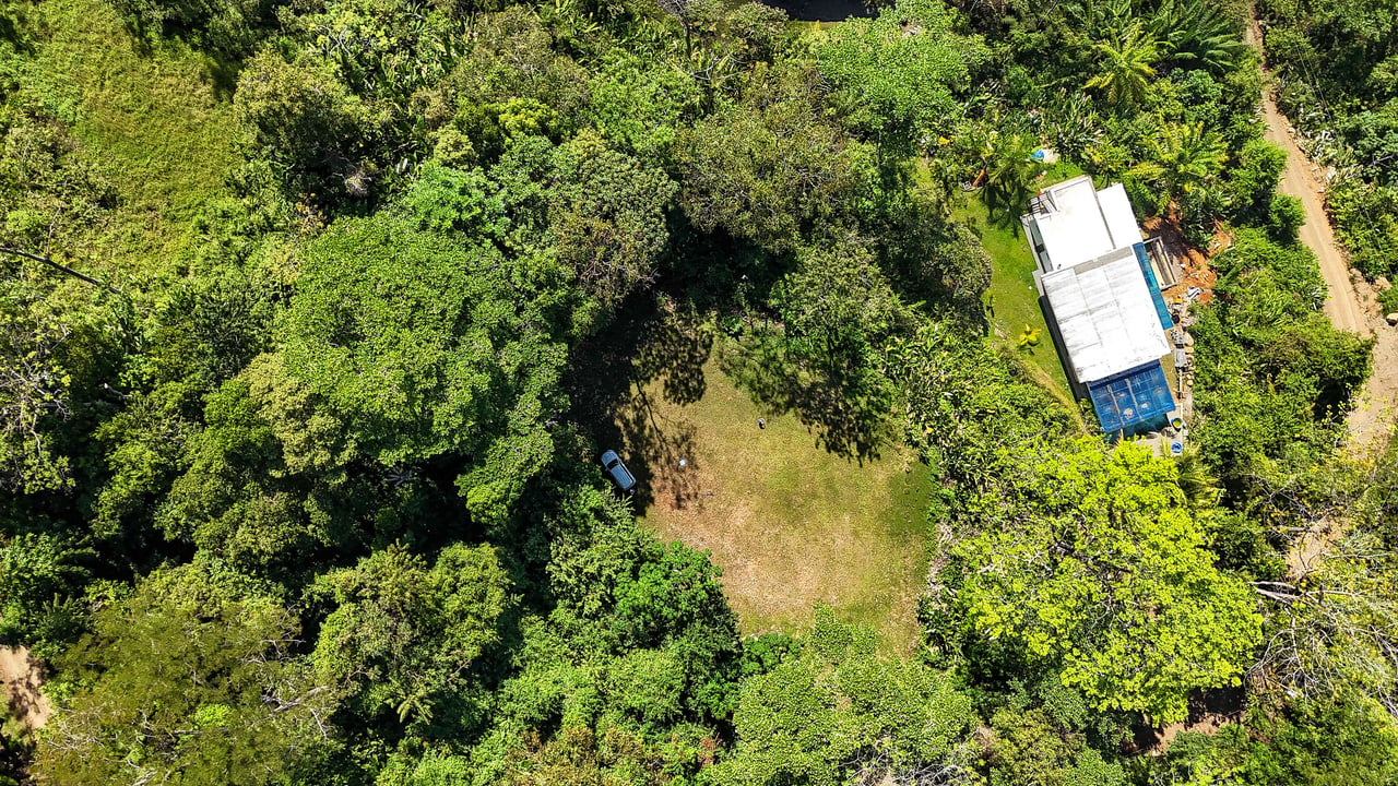 A prepared, 1.5 Acres jungle immersed lot with spectacular views of the Whale’s Tail. 