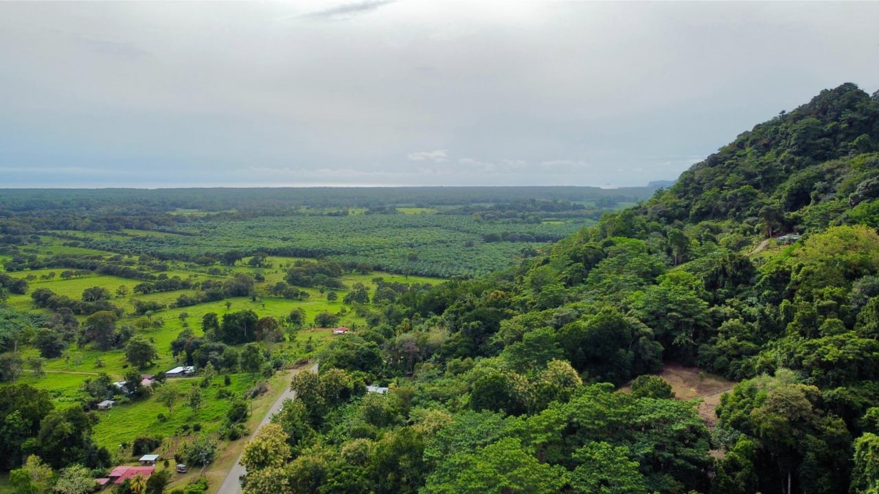 Flat Commercial Development Lot, Osa, Puntarenas