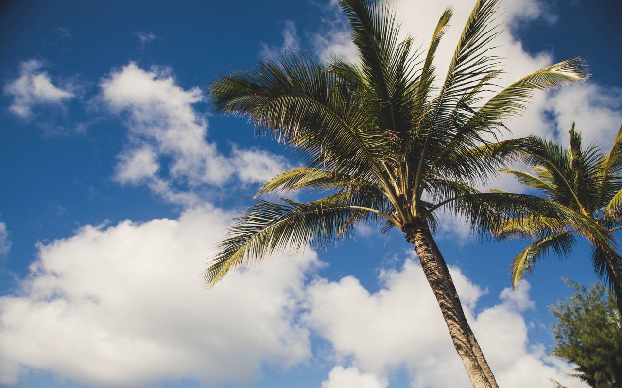 Puamana In Lahaina | Prices Still Poppin’!