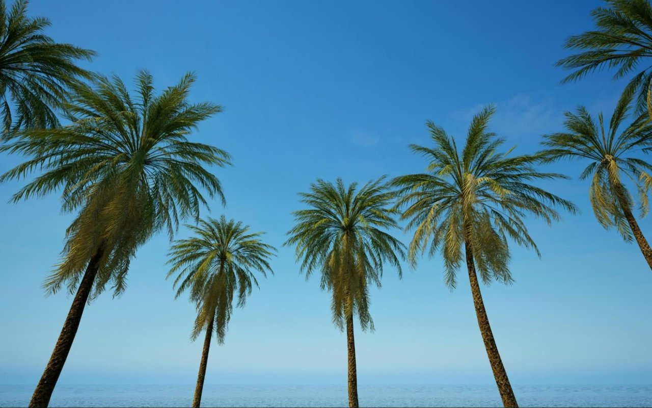 8 West Palm Beach Projects to be Aware Of