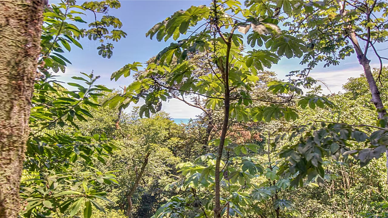 Subdividable Tropical Villa, Manuel Antonio, Puntarenas