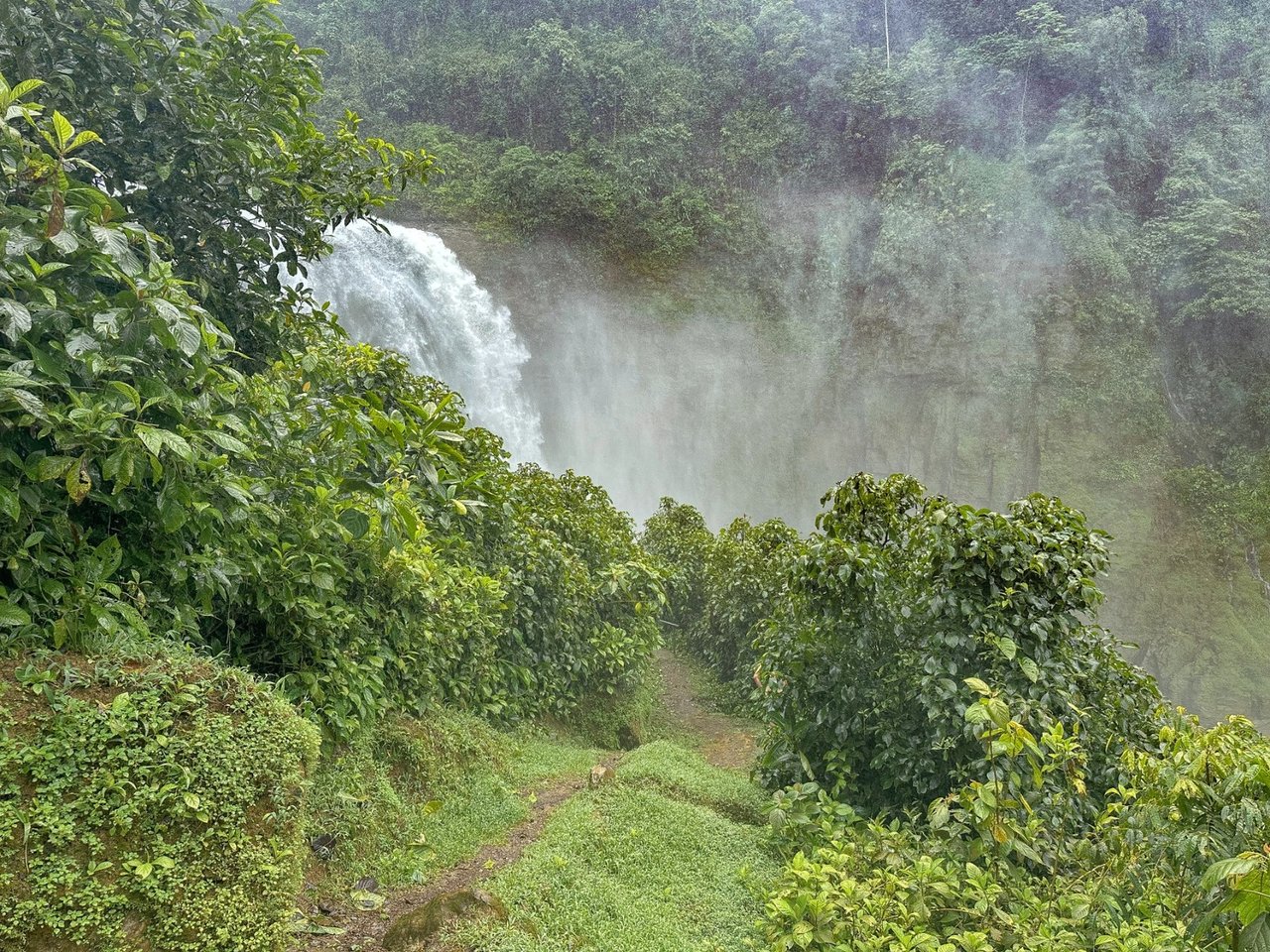 Waterfall Eco Resort Land, Dominical, Puntarenas