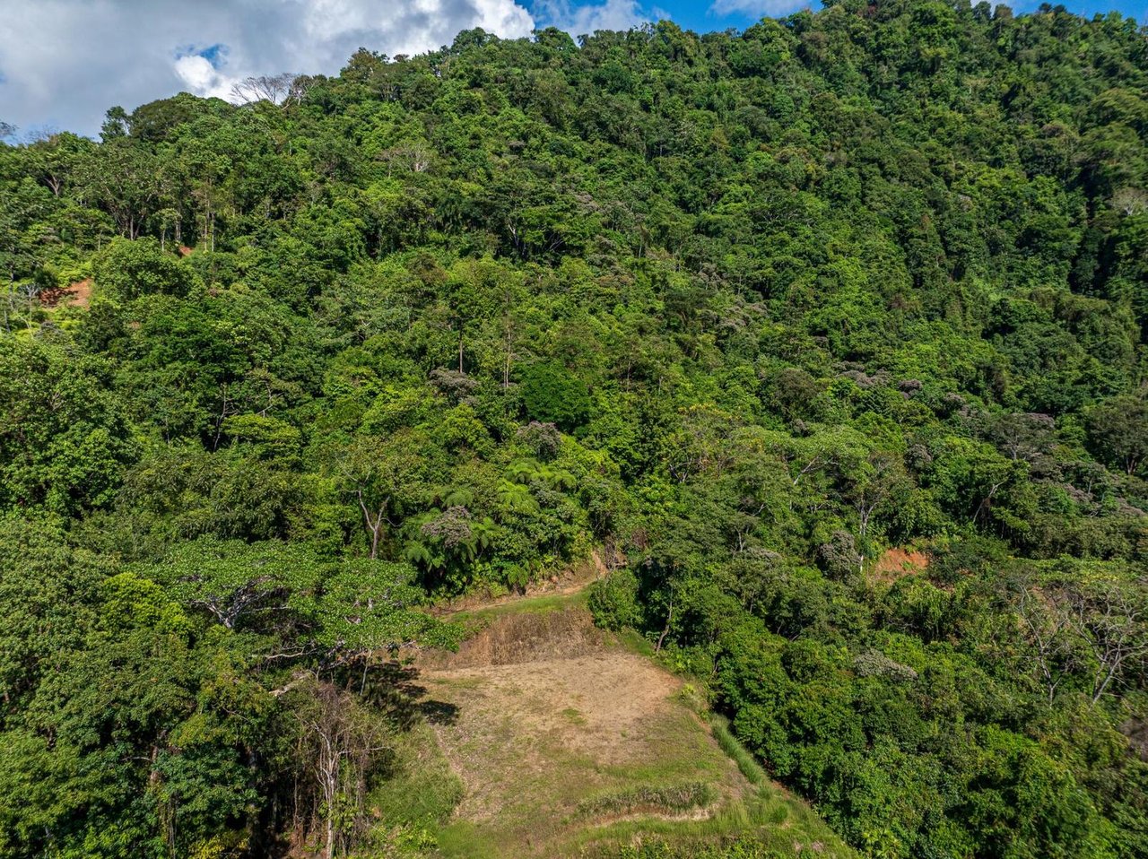 Premier Ocean View Development Land, Manuel Antonio, Puntarenas