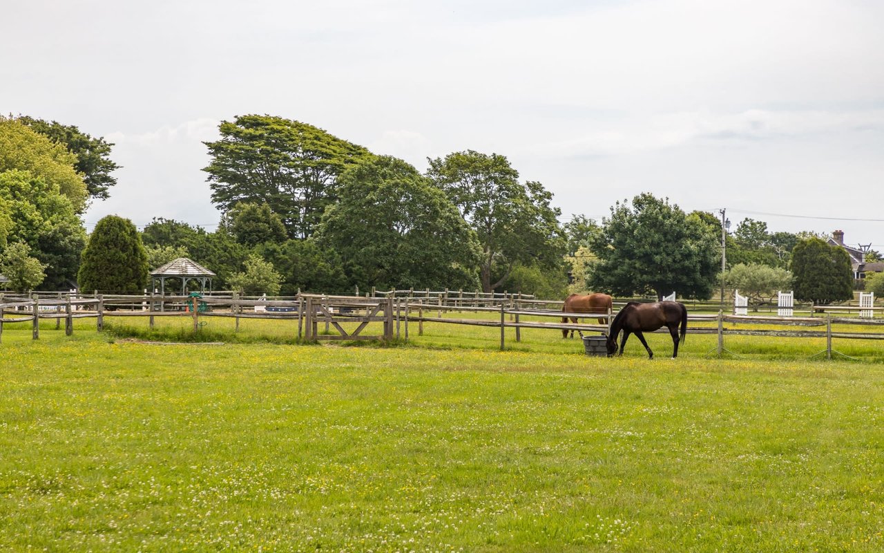 Two horses grazing in a fenced-in pasture