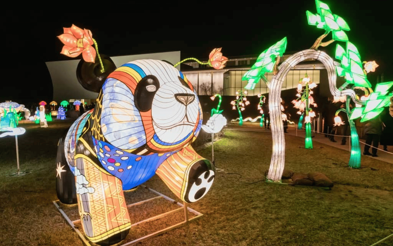 Things to Do in the DC Area This Winter