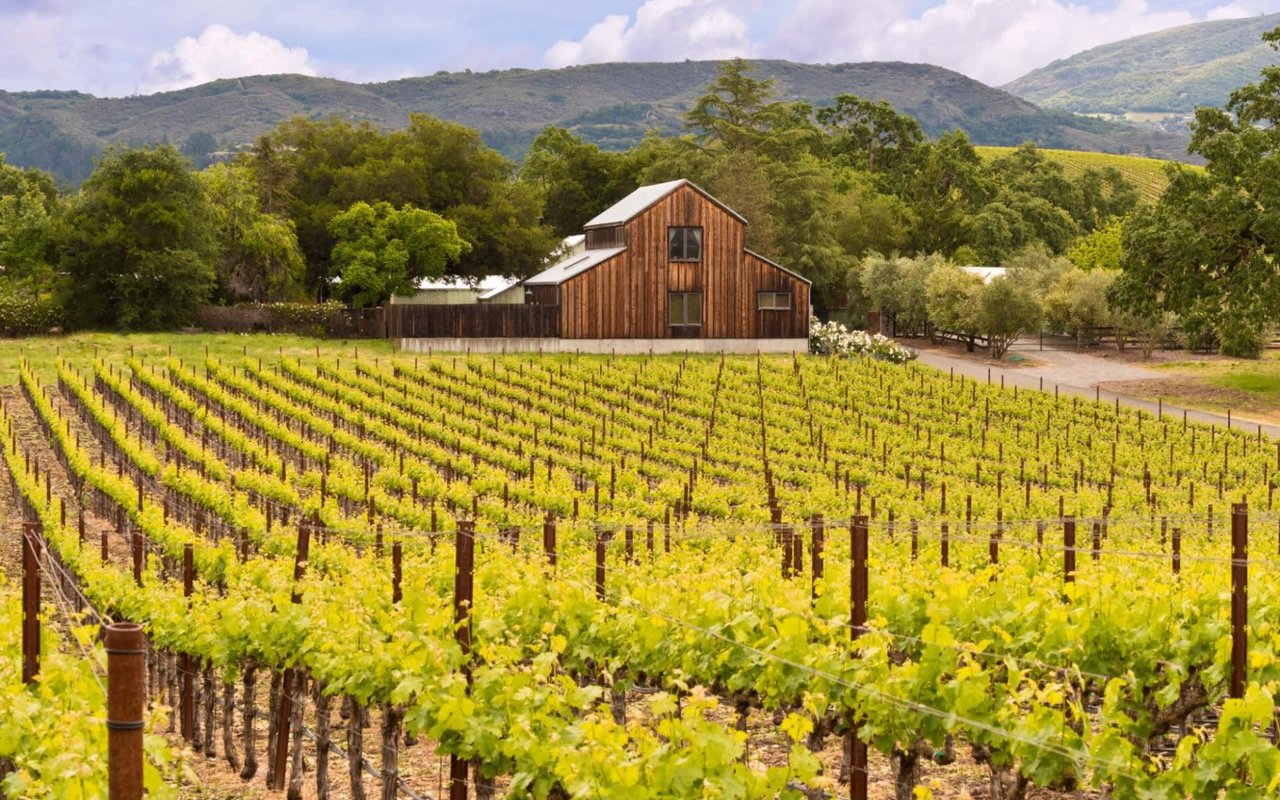The Best Neighborhoods in Napa Valley for Families: A Guide