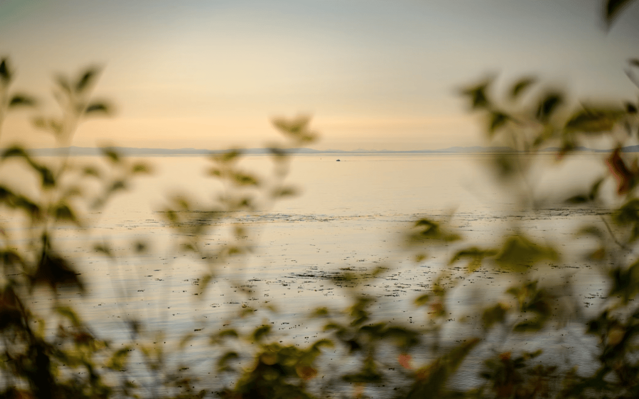 View Homes: Embrace the Serenity of Scenic Living cover