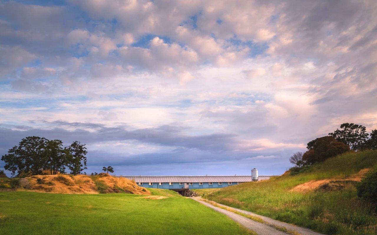 Saanich West