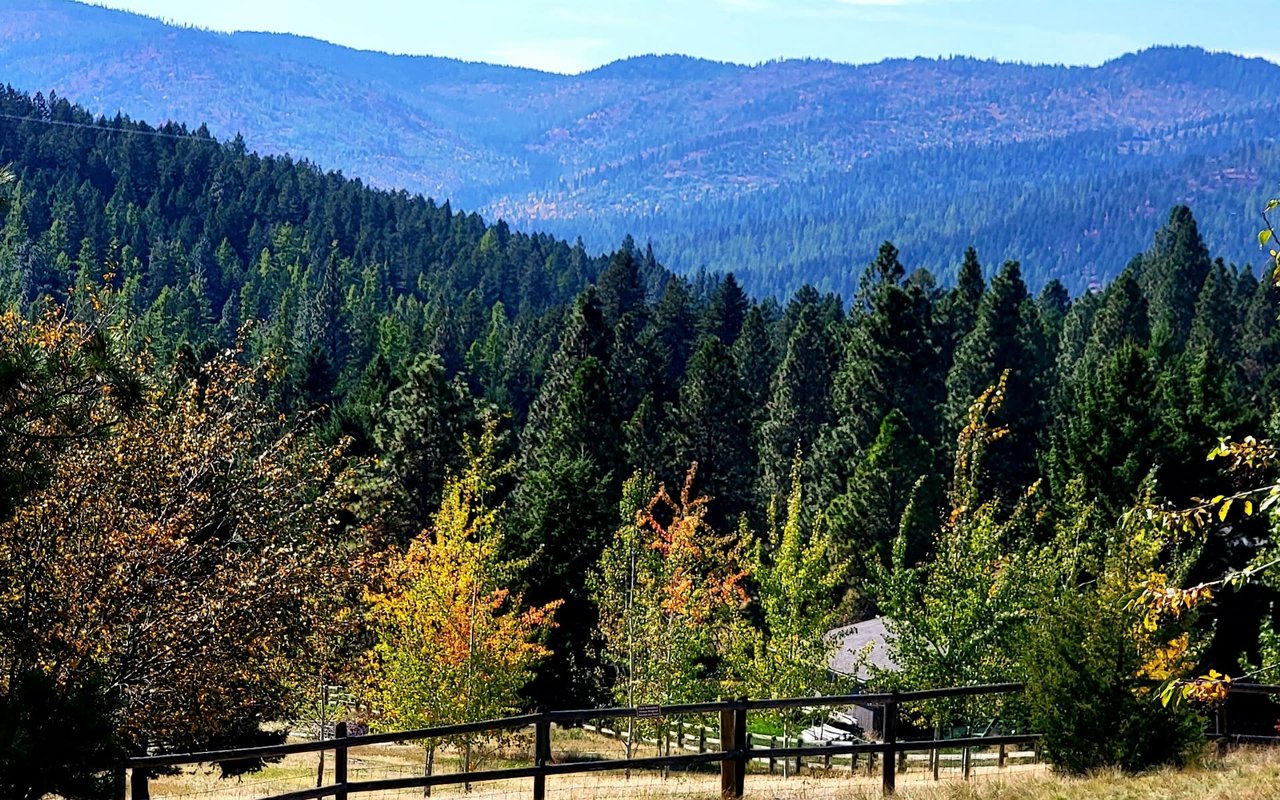 A very long wooden fence in a field. There are tall trees lining the fence on both sides.