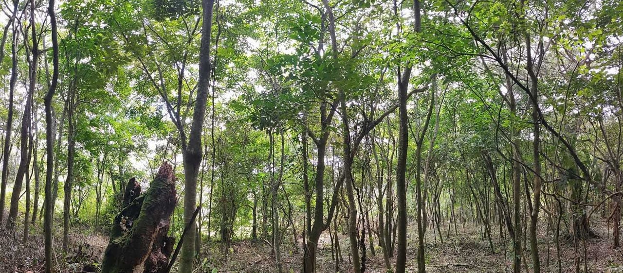 Panoramic View Buildable Land, Escazu, San Jose