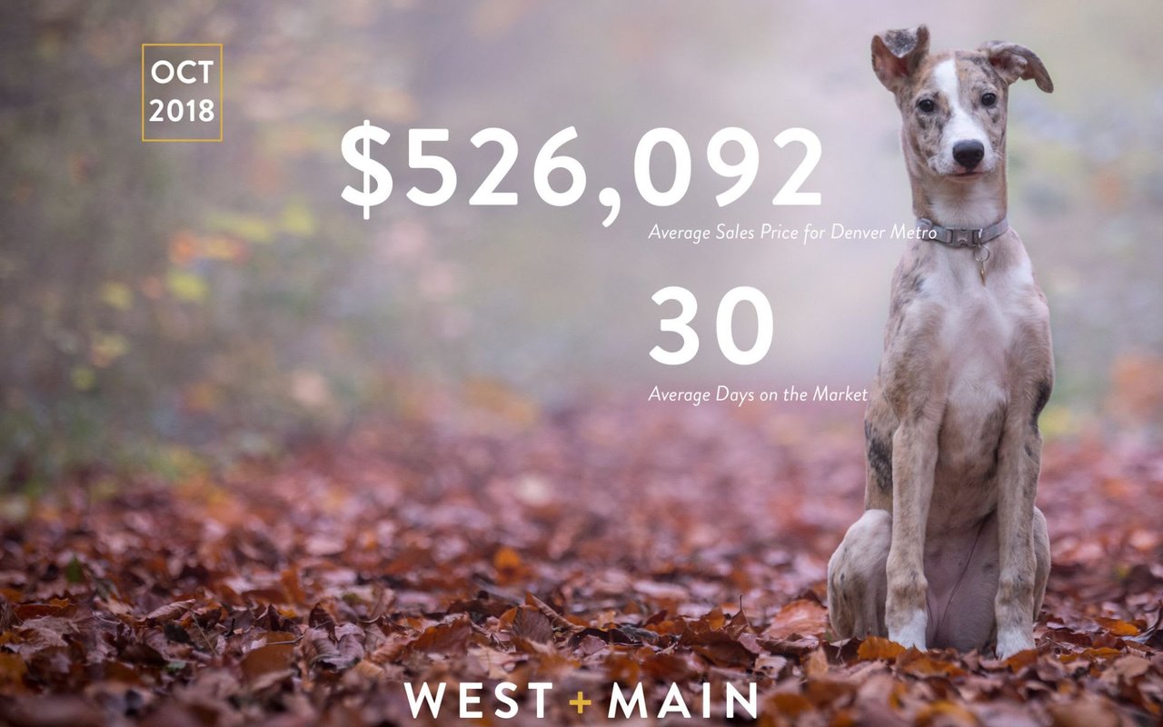 Colorado’s Real Estate Market Report – Stats From October 2018