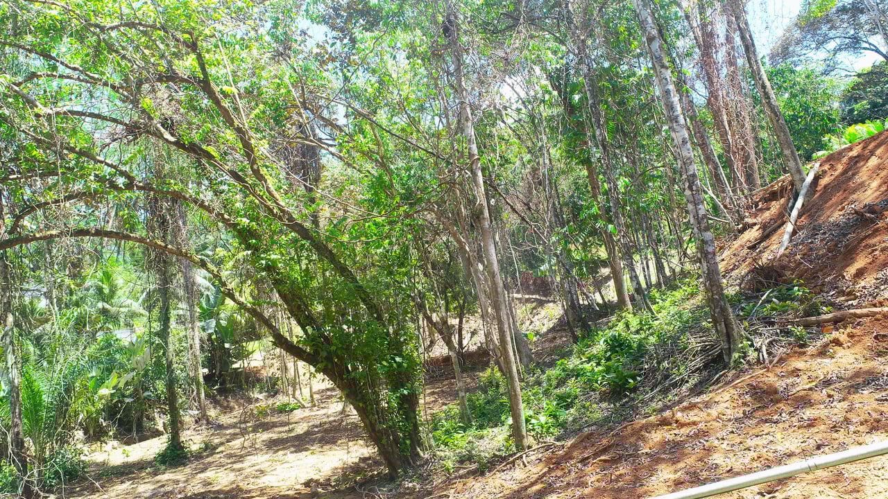 Over One Acre Attractive Lot on the Popular PEREZOSO Road.