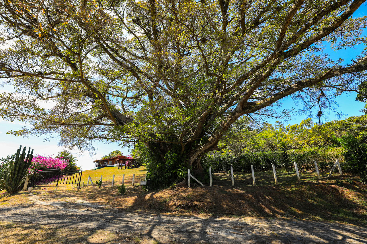 Historic Coffee Farm Estate, Heredia